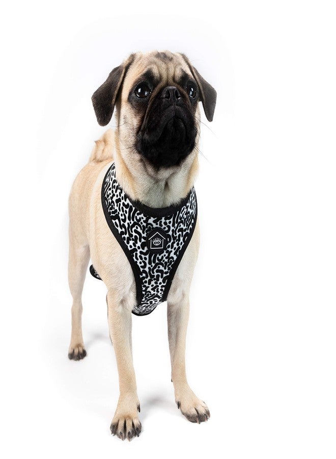 Jonathan Adler Now House for Pets by Jonathan Adler Jonathan Adler: Now House Leo Reversible Harness, Large | Stylish, Fashionable, and Functional Way to Keep Your Dog Looking Great | Adorable Dog Accessories - Image 2