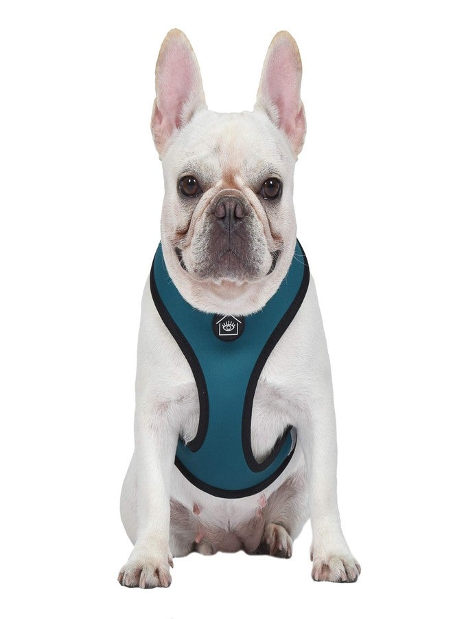Jonathan Adler Now House for Pets by Jonathan Adler Jonathan Adler: Now House Leo Reversible Harness, Large | Stylish, Fashionable, and Functional Way to Keep Your Dog Looking Great | Adorable Dog Accessories - Image 4