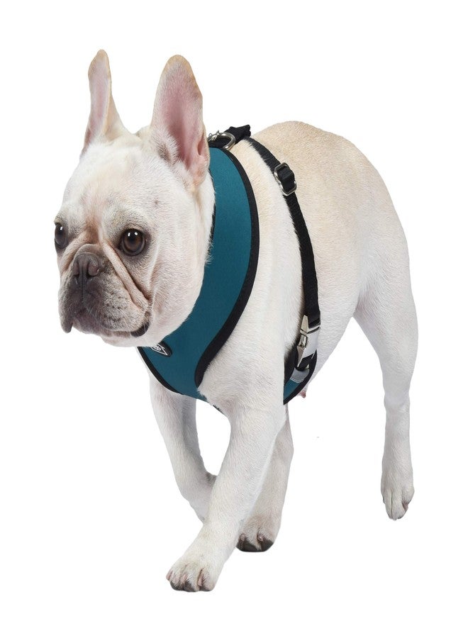 Jonathan Adler Now House for Pets by Jonathan Adler Jonathan Adler: Now House Leo Reversible Harness, Large | Stylish, Fashionable, and Functional Way to Keep Your Dog Looking Great | Adorable Dog Accessories - Image 5