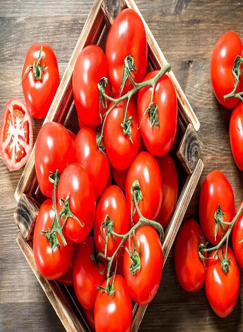 GGOOT 100Stück Tomatensamen mehrjährige ertragreiche seltene Pflanzensamen geeignet für alle Freunde die Ihrem Garten Farbe verleihen möchten - Image 2