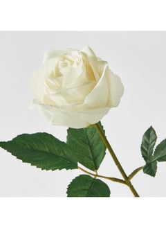 Green Tiger Artificial flower, in/outdoor/Rose white, 40 cm  - Image 3