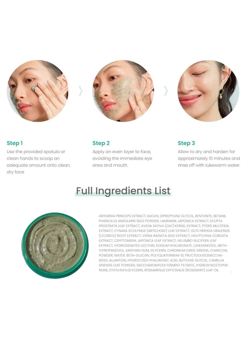 AXIS-Y - AXIS-Y Mugwort Pore Clarifying Wash Off pack 100ml - Image 1