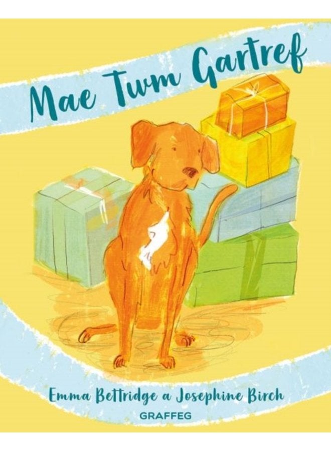 Mae Twm Gartref - Paperback