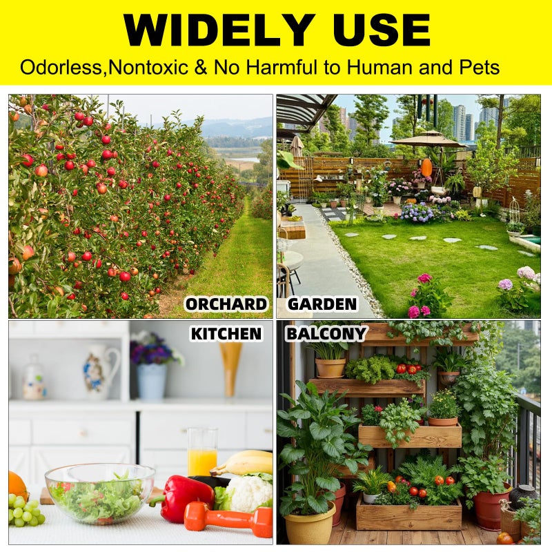 Mosqueda 36PCS Fruit Fly Sticky Traps Fungus Gnat Traps Insect Trap for Plants Kitchen Indoor Outdoor White Flies Mosquitos Fungus Gnats Flying Insects Houseplant Gifts (Love Shape) - Image 4