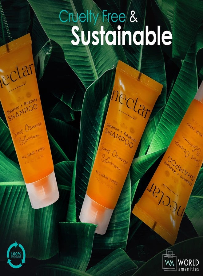 World Amenities Nectar Bulk Shampoo | 50 Count, 1 oz | Sweet Orange Blossom, Mini Travel Size Toiletries (100% Recyclable Tube with Flip Top Cap), Airbnb Rentals, Suitable for All Hair Types - Image 2