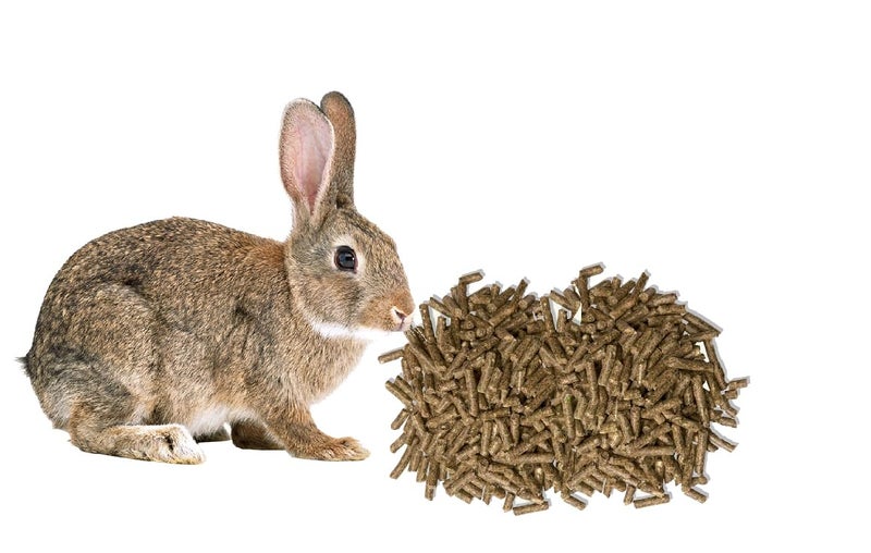 PMK Rabbit Food Pellet Highly Nutritious Diet Suitable for All Type Rabbit & Hamsters (1 kg) - Image 1