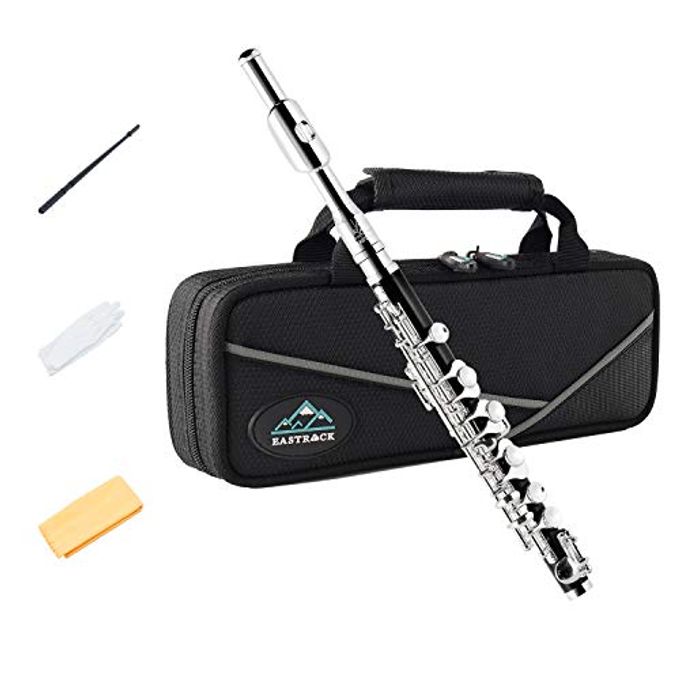EASTROCK Black Resin Piccolo Key Of C 2-Piece Keys For Beginner, Kids, Student With Hard Case, Cleaning Rod, Cloth And Gloves - Image 1