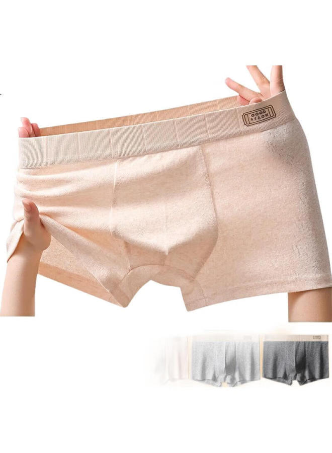 Bejirog Arctic Velvet Men'S Pure Cotton Boxer Briefs 100A Antibacterial Men'S Underwear Loose Plus Size Men'S Four-Corner Shorts Underpants - Image 2