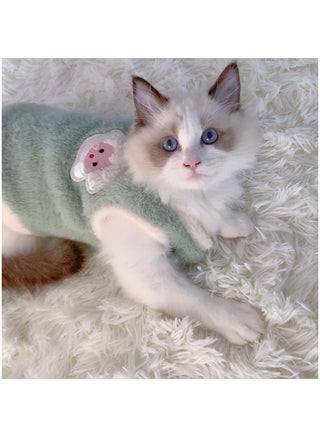 Cat Clothes Autumn and Winter Ragdoll cat Thermal Vest Velvet pet Dog Clothes Kitten Kitten Anti-Shedding - view 5