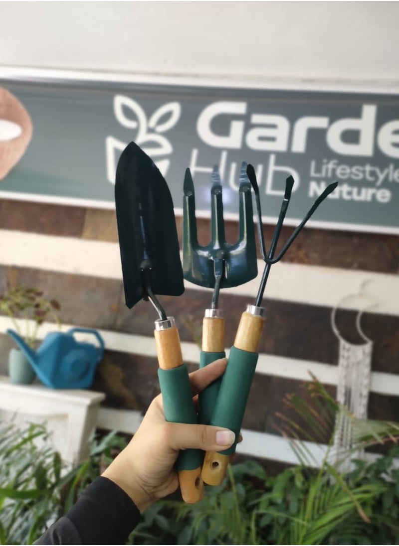 Generic Garden Hand Tools Set, 3 Pieces, Trowel, Cultivator Rake, Hand Fork, Green and Tan  - Image 1