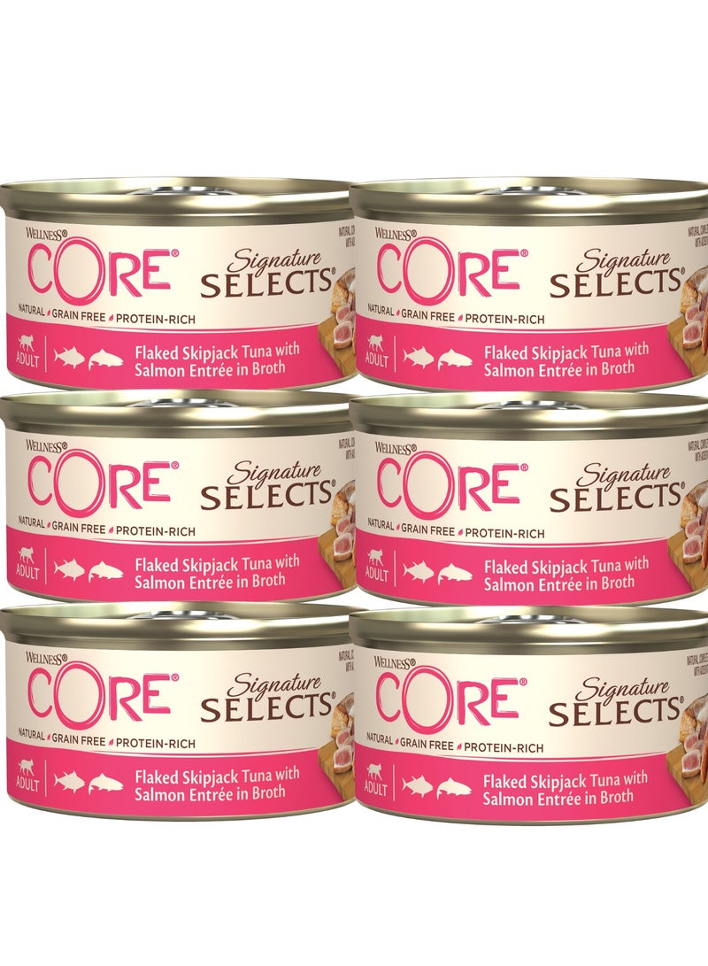 ويلنس كور اكل قطط رطب طعام قطط رطب بنكهة سمك السكيبجاك و السالمون بالمرق للقطط البالغة - 6x79 جرام - طعام قطط رطب خالي من الحبوب - اكل قطط عالي الجودة غني بالبروتين للقطط البالغة - Image 1