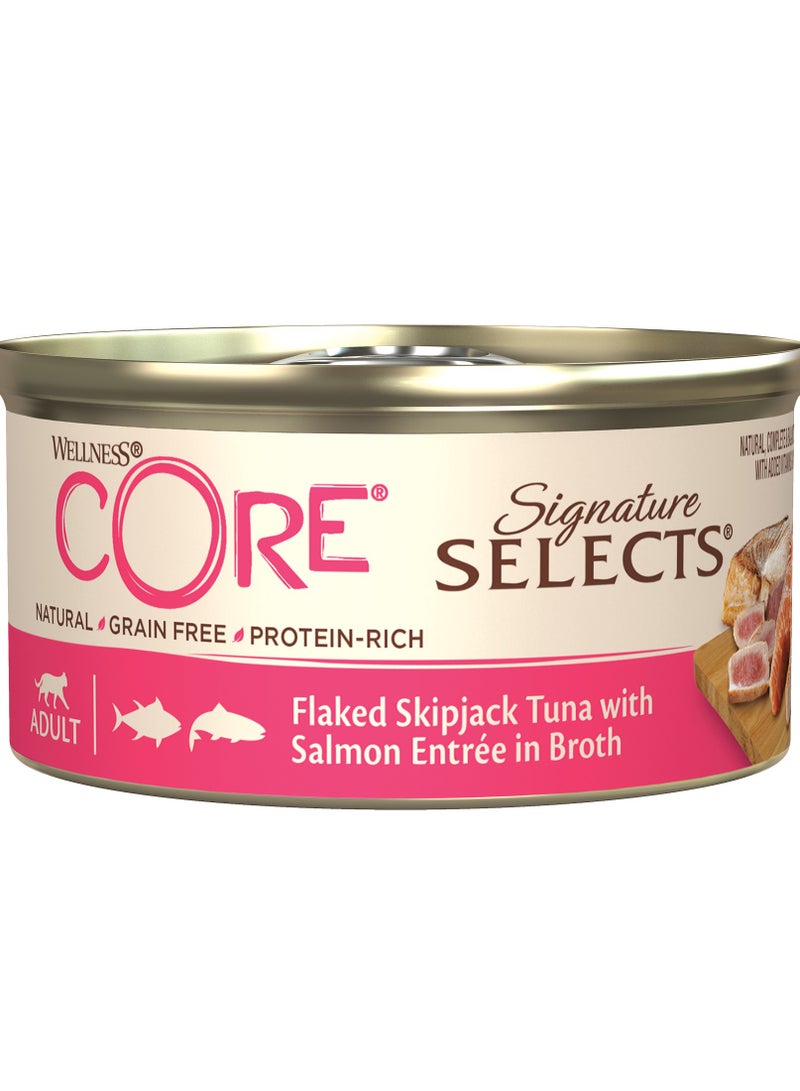 ويلنس كور اكل قطط رطب طعام قطط رطب بنكهة سمك السكيبجاك و السالمون بالمرق للقطط البالغة - 6x79 جرام - طعام قطط رطب خالي من الحبوب - اكل قطط عالي الجودة غني بالبروتين للقطط البالغة - Image 2