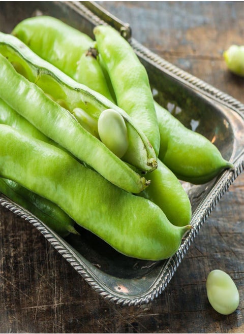 Broad Bean 'The Sutton' - Dwarf Variety for Small Spaces - Abundant Pods Ideal for Freezing - Versatile Spring and Autumn Sowing - Perfect for Container Gardens- 2X Seed Packets by Suttons