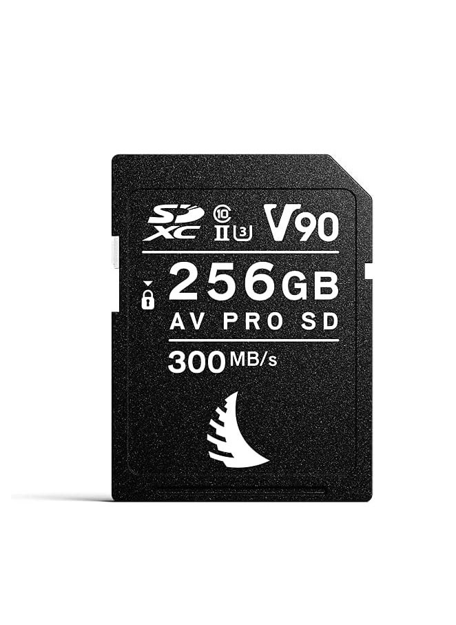 Angle Bird Av Pro Sd Mk2 256Gb V90 | 1 Pack - pzsku/ZA744524F9297AF7B6EE2Z/45/_/1733052075/217ffcd9-e8d4-40e5-8995-932fbff58673