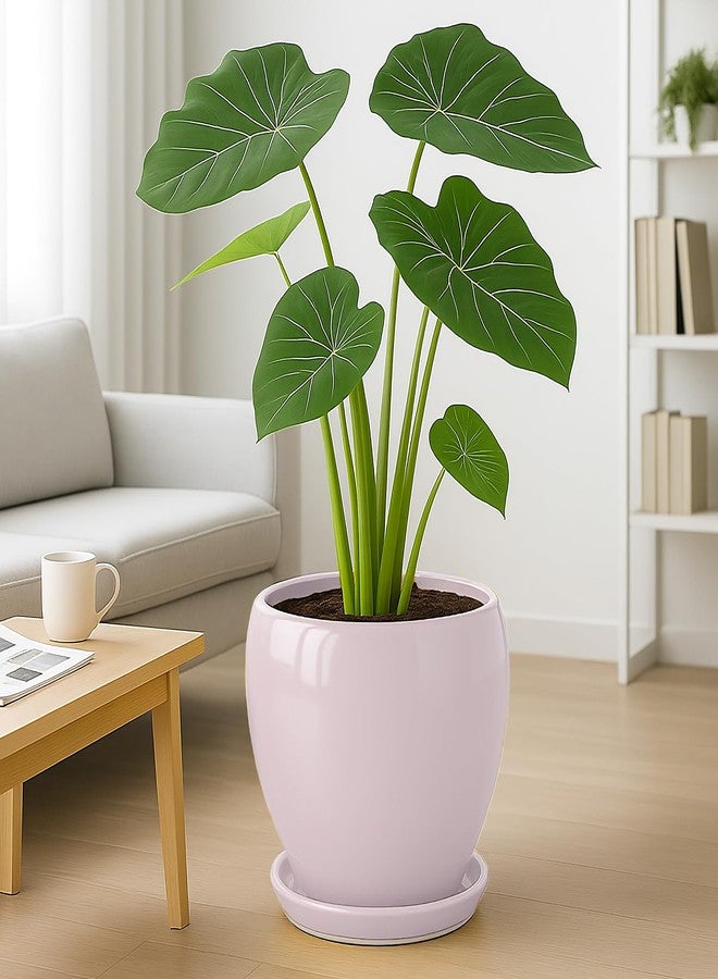 DEEPDREAM Deep Dream 10 Inch Plant Pot- Ceramic Planter Pot Round Plant Pots for Indoor Plants Outdoor Large Flower Pot with Drainage Holes & Trays, Pink - Image 4