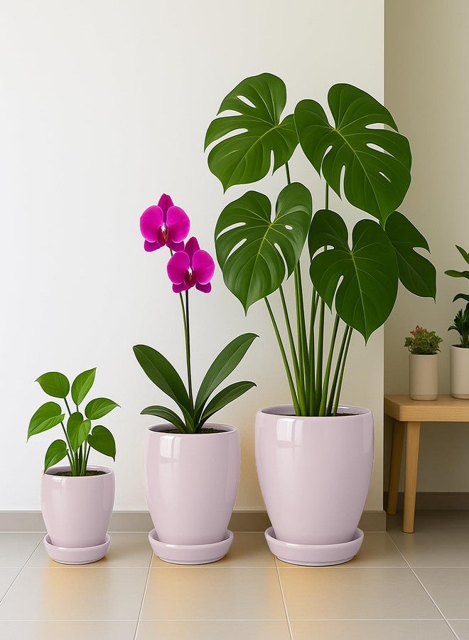 DEEPDREAM Deep Dream 10 Inch Plant Pot- Ceramic Planter Pot Round Plant Pots for Indoor Plants Outdoor Large Flower Pot with Drainage Holes & Trays, Pink - Image 5
