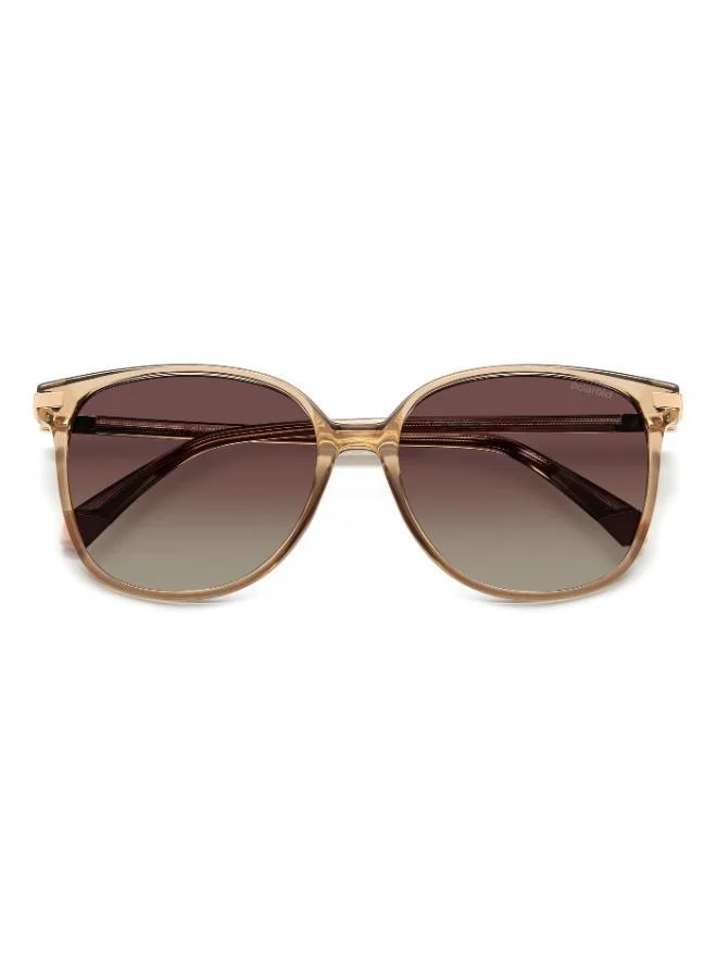 Polaroid  Square Sunglasses Frames  | Best Price UAE