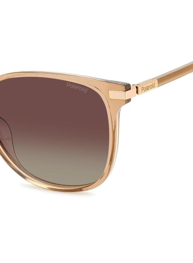 Polaroid Square Sunglasses Frames - Image 5