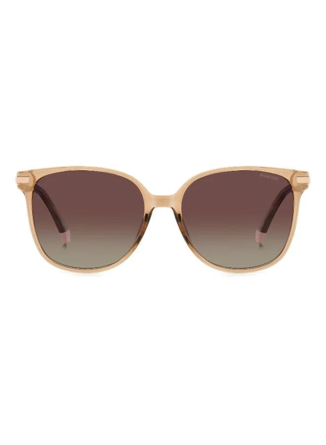 Polaroid  Square Sunglasses Frames  | Best Price UAE