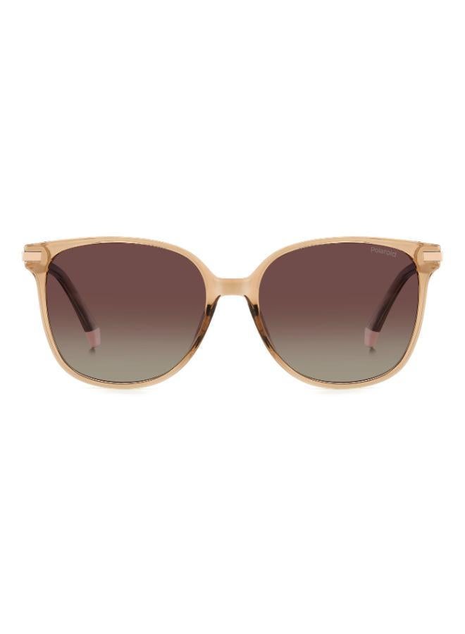 Polaroid Square Sunglasses Frames - Image 3