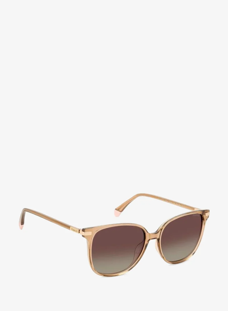 Polaroid Square Sunglasses Frames