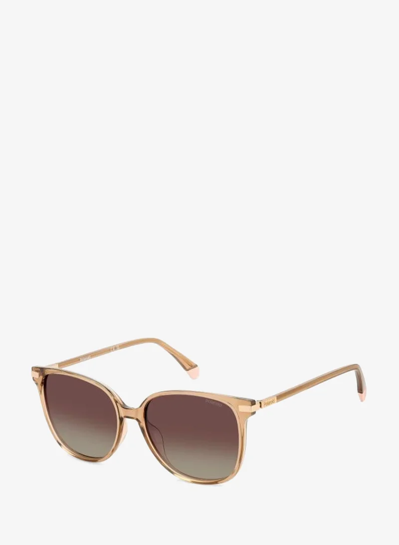 Polaroid Square Sunglasses Frames