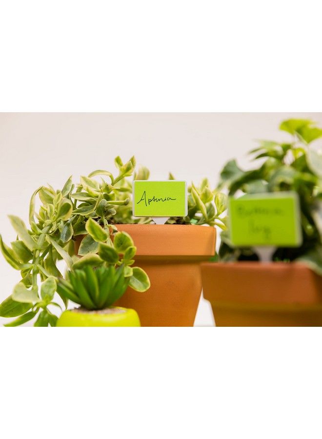 Neenah Astrobrights Color Paper 8.5" X 14" 24 Lb 89 Gsm Terra Green 500 Sheets (22582) - Image 4