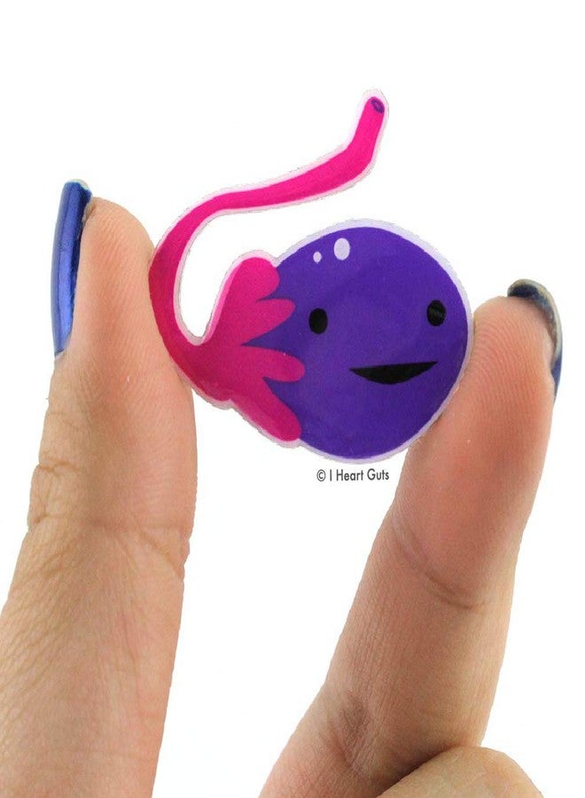 أي هارت جاتس دبوس "أحبّ الشجاعة" على شكل مبيض - هدية رائعة لدعم الخصوبة، أو للتوعية بمتلازمة تكيس المبايض أو صحة المبيض، أو لتشجيع صحة المرأة، أو كهدية من طبيبة نسائية وتوليد. - Image 3