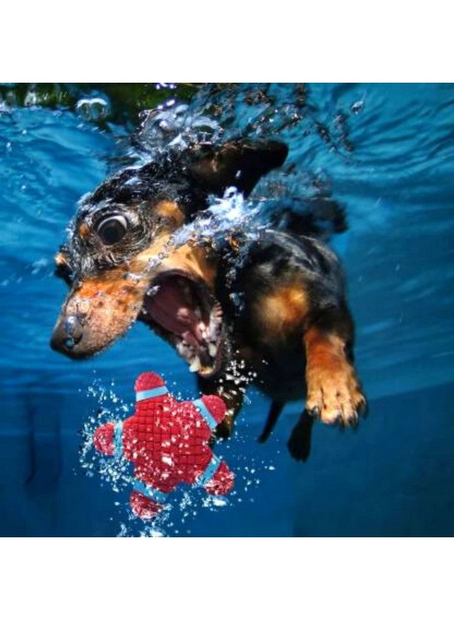 لعبة مضغ تفاعلية غير سامة من مادة اللاتكس الناعمة تصدر صوت صرير للكلاب والجراء (سمكة النجمة - كبيرة) | مضغ، طفو، تدريب، وترتد | تقلل من قلق الانفصال - Image 5