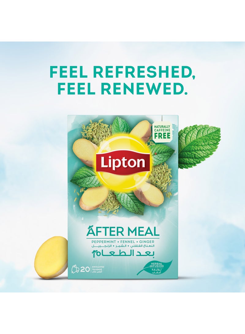 Lipton Herbal Infusions After Meal Tea - Image 3
