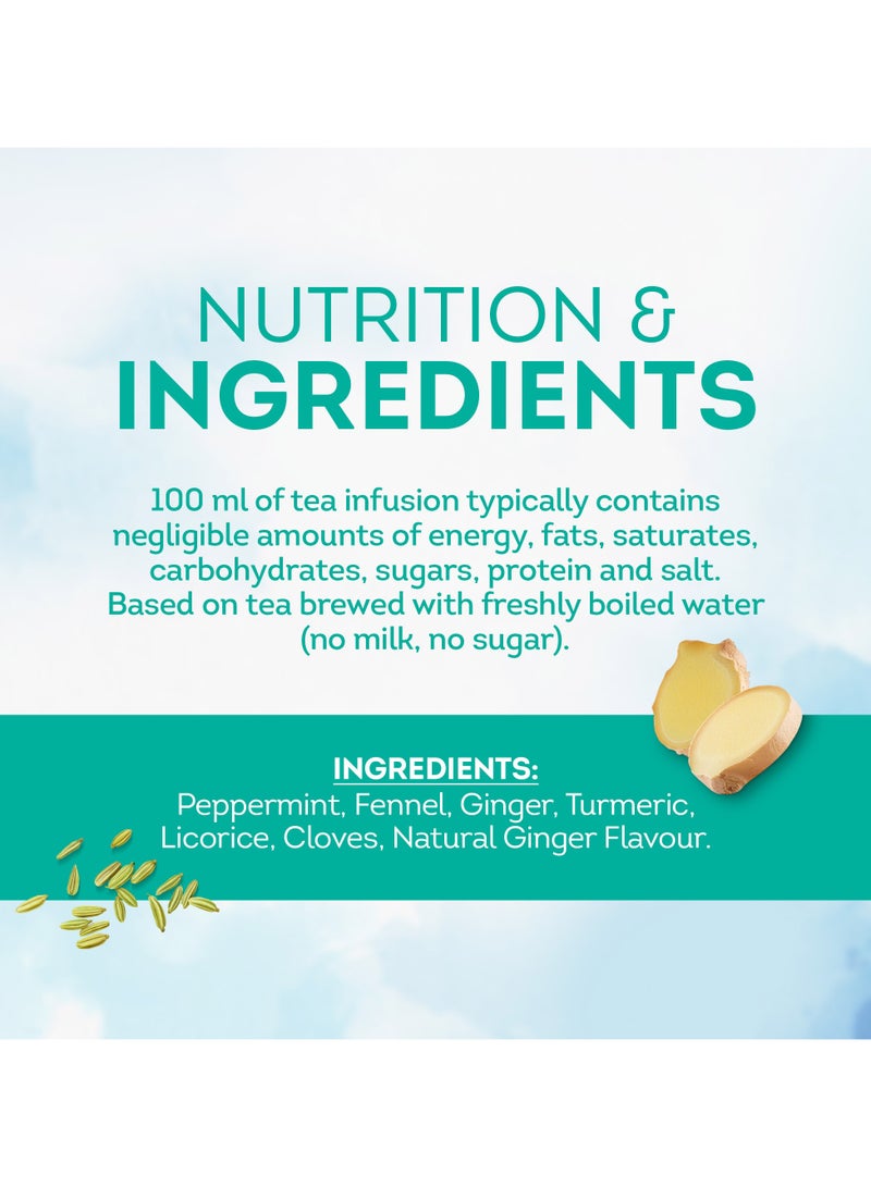 Lipton Herbal Infusions After Meal Tea - Image 2