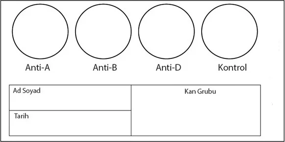 Liva Blood Group Detection Card 10pcs