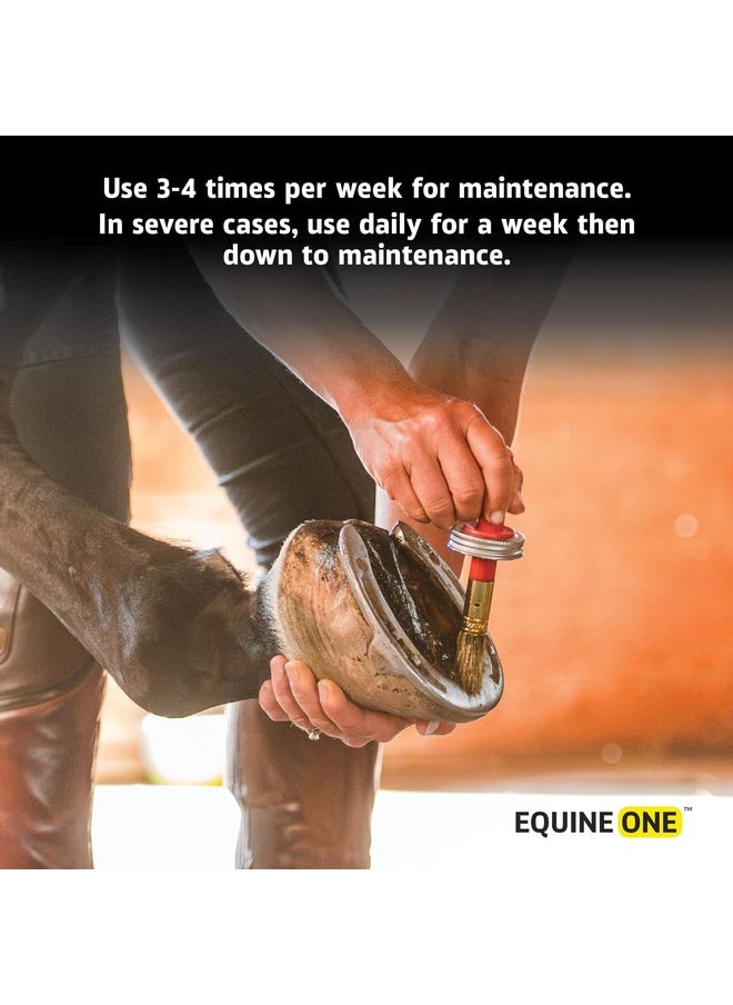 Mineral Medix Equine One Natural Hoof Dressing - 100% All-Natural Hoof Care Product - Abscesses || Thrush || White Line || Quarter Crack (16 fl.oz)  - Image 3