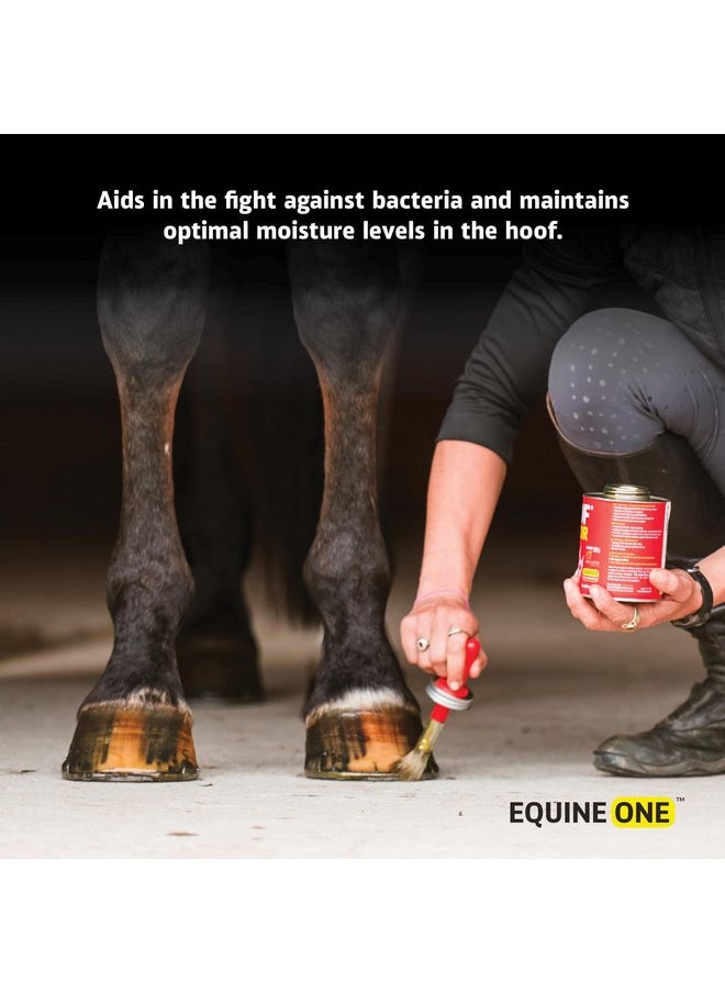 Mineral Medix Equine One Natural Hoof Dressing - 100% All-Natural Hoof Care Product - Abscesses || Thrush || White Line || Quarter Crack (16 fl.oz)  - Image 2