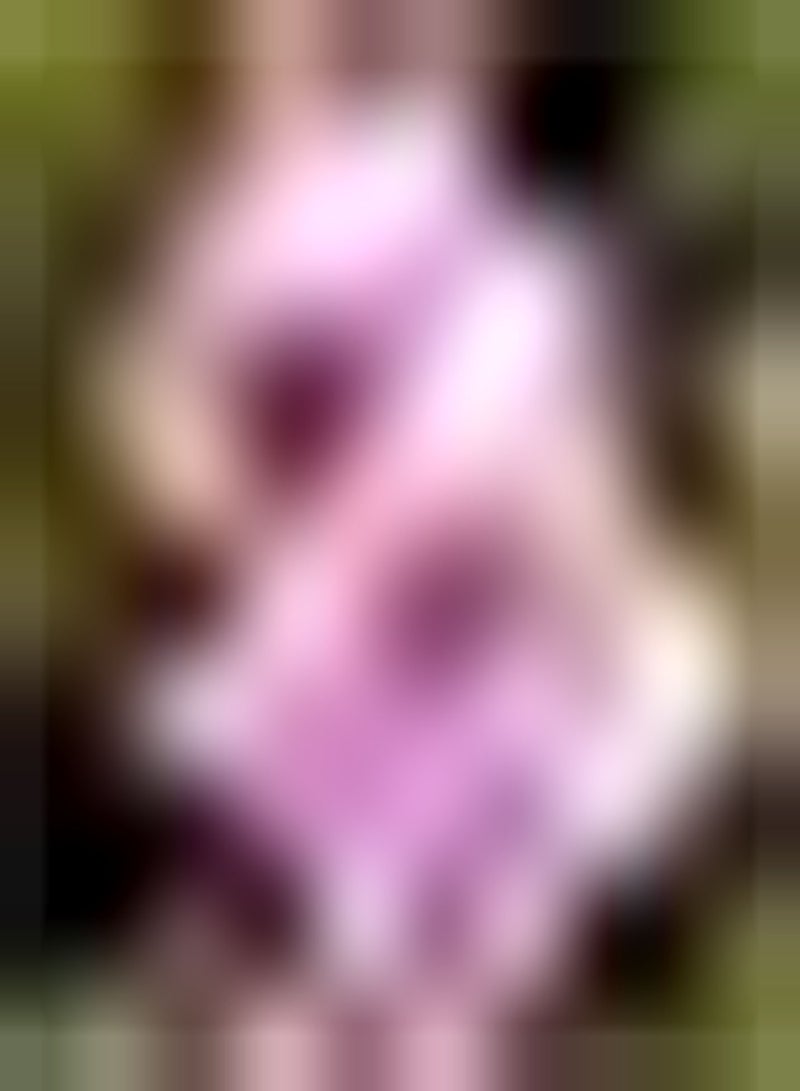 GGOOT 50pcs rosa Vergissmeinnicht Samen schöne Gartendekorationen ziehen Bienen an Perfekt für jeden Freund der Pflanzen Farbe in den Garten bringen möchte - Image 1