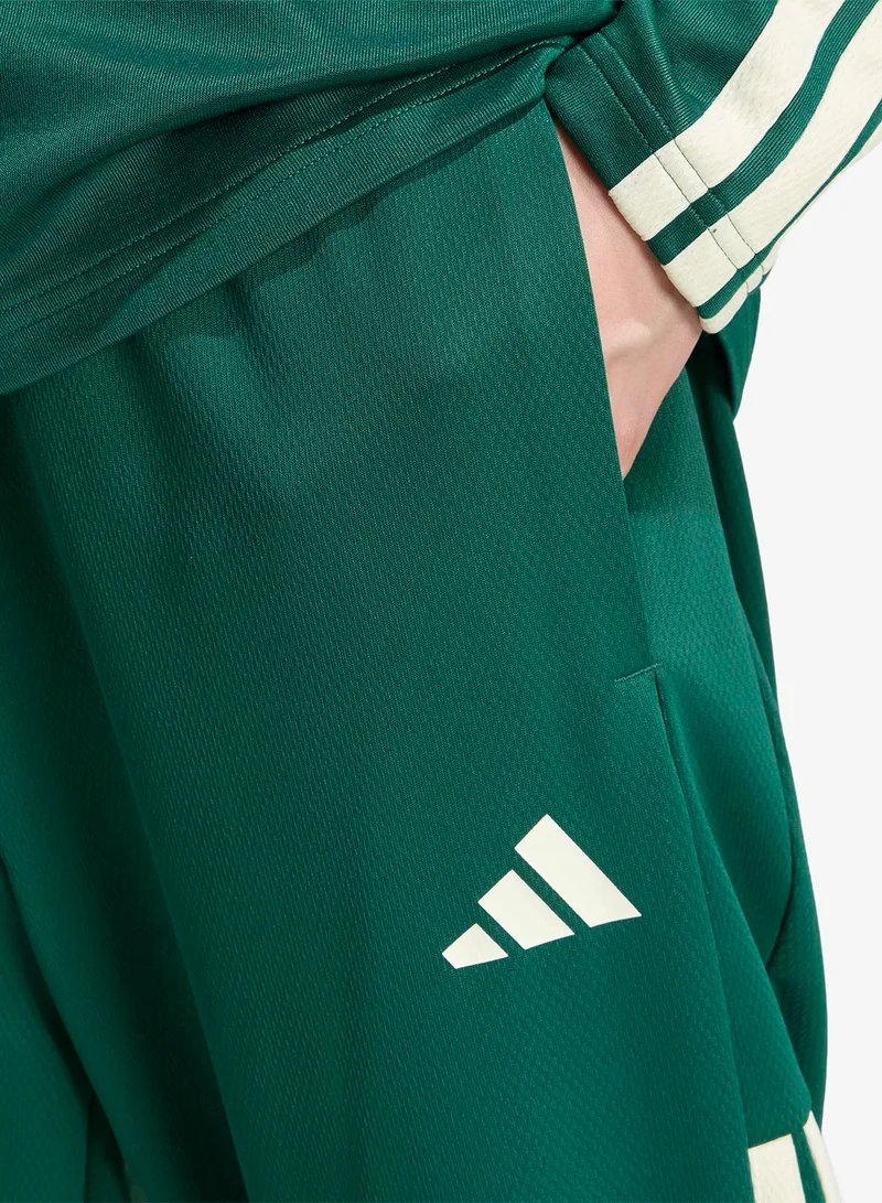 Adidas CGREEN/IVORY Tiro Training Q4 Sweatpants for Men | Best Price UAE