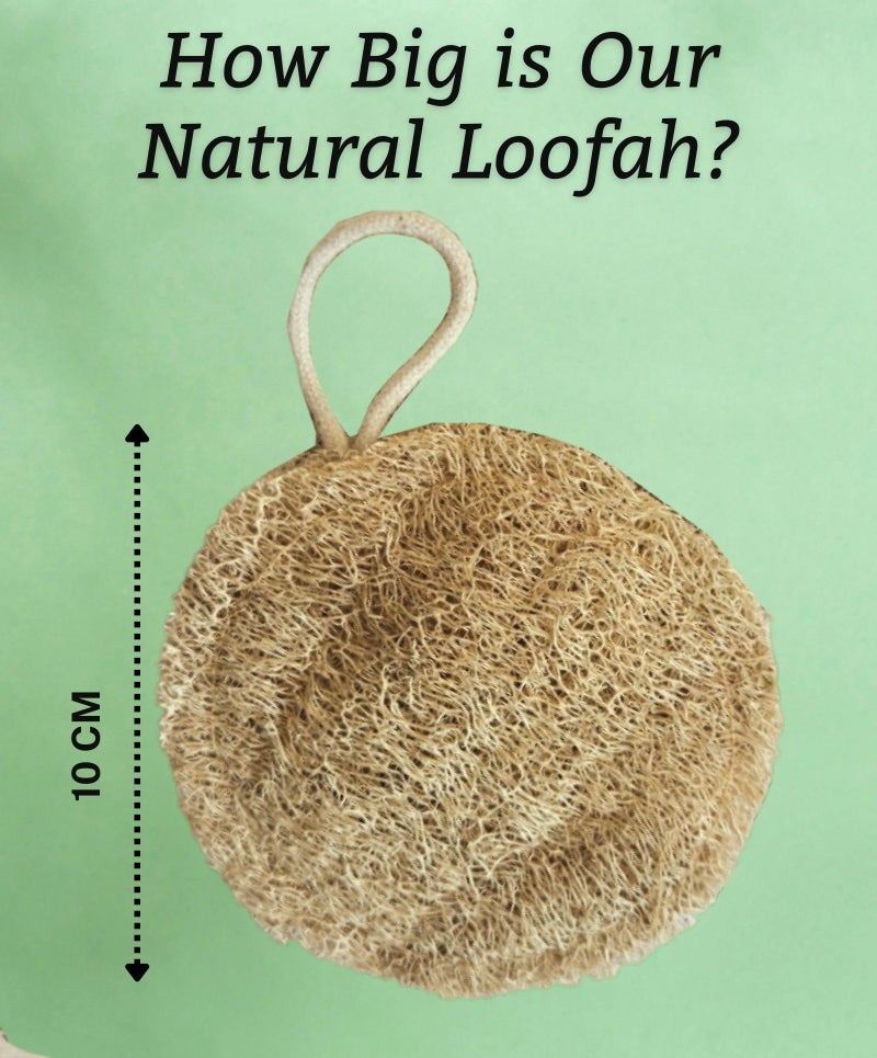 SAVSEA Natural Loofah for Bathing: Unisex Loofah for Women and Men, Also Perfect for Kids | Round Shaped Natural Loofah | Pack of 3 - Image 5