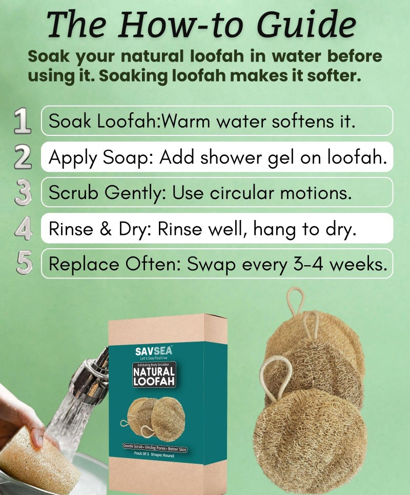 SAVSEA Natural Loofah for Bathing: Unisex Loofah for Women and Men, Also Perfect for Kids | Round Shaped Natural Loofah | Pack of 3 - Image 3