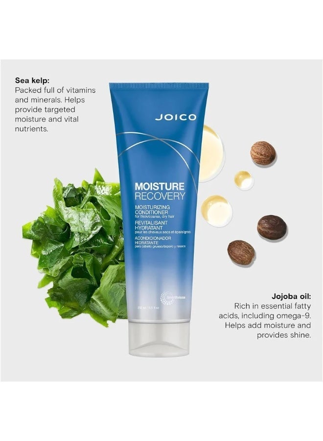 Joico Moisture Recovery Moisturizing Conditioner 250ml - Image 2