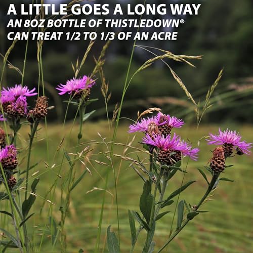 Monterey Thistledown Bundled with Measuring Spoon - Weed Killer Thistle and Clover Control Concentrate - 8 oz - Image 3