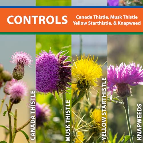 Monterey Thistledown Bundled with Measuring Spoon - Weed Killer Thistle and Clover Control Concentrate - 8 oz - Image 2