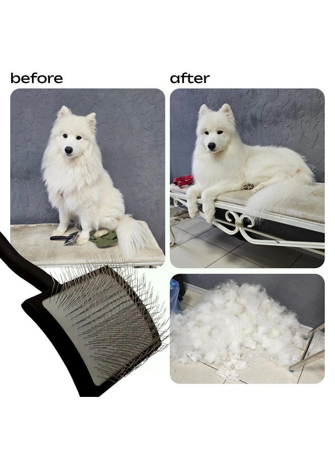 فرشاة خشبية طبيعية للعناية بالحيوانات الأليفة - دبابيس معدنية طويلة ناعمة للكلاب والقطط - Image 2