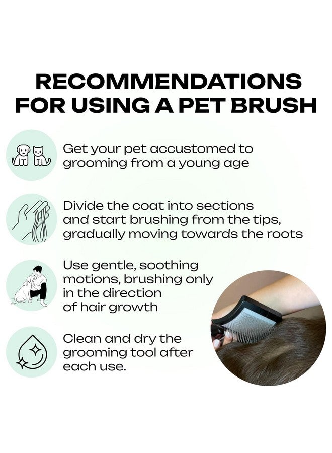 فرشاة خشبية طبيعية للعناية بالحيوانات الأليفة - دبابيس معدنية طويلة ناعمة للكلاب والقطط - Image 3