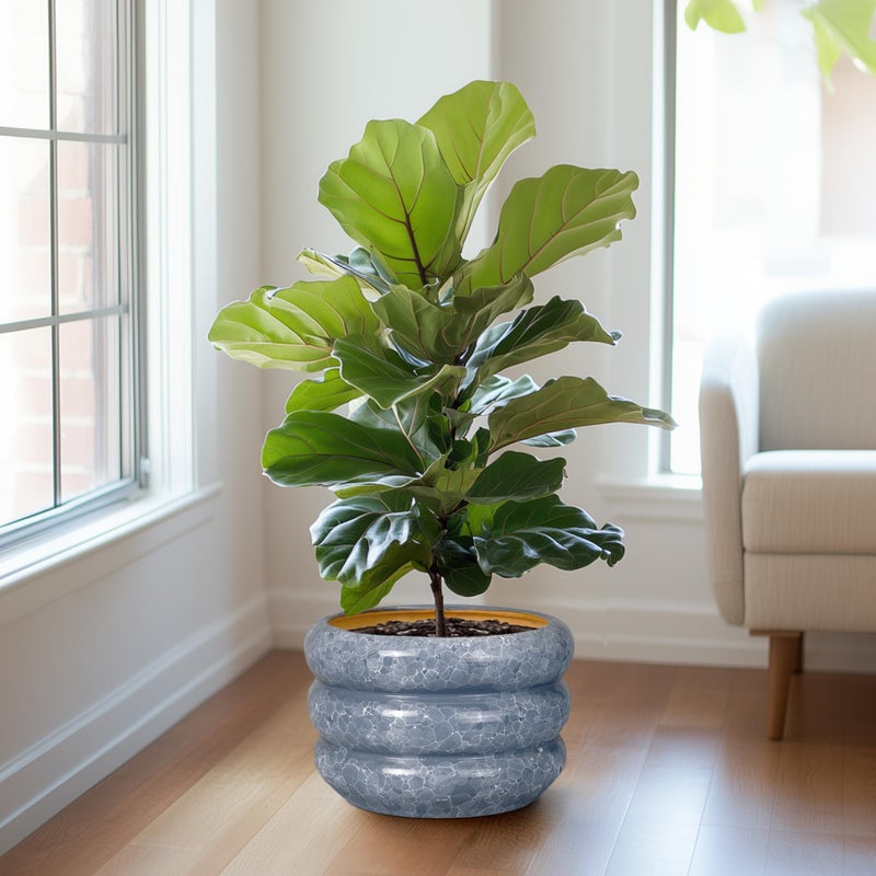 SQOWL Ceramic Planter 13.5 Inch - Large Plant Pot Indoor with Drainage Hole Outdoor Planter Round Flower Pot Modern Decorative Plant Pot for Home Office Decor Gray - Image 4