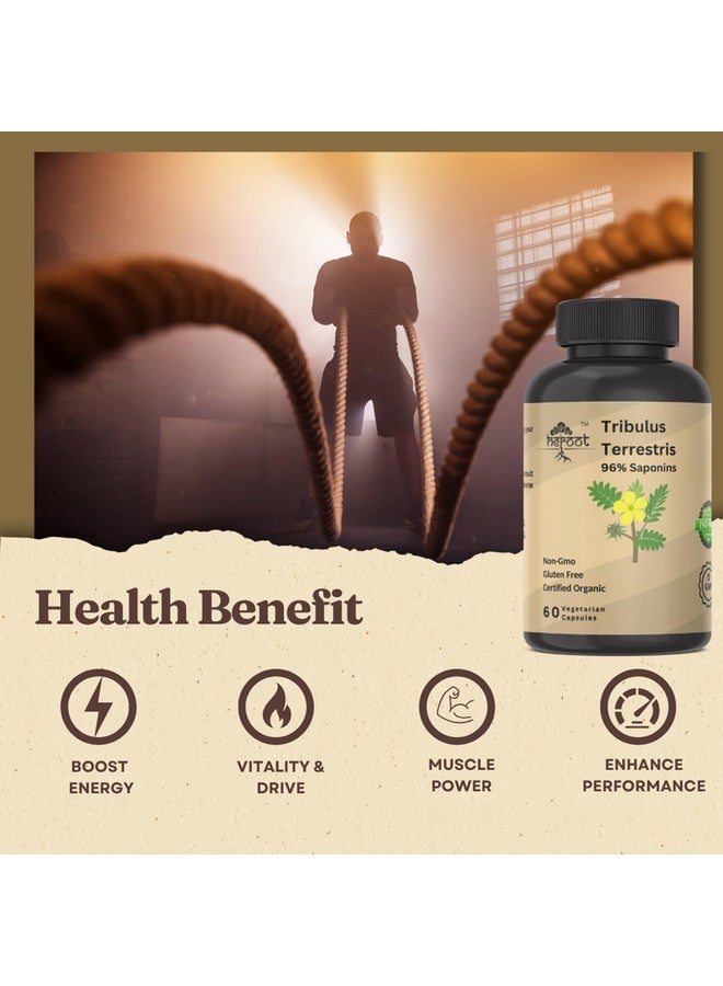 Heroot Tribulus Terrestris Supplement for Men & Women Supplement Booster for Energy, Vitality, Stamina & Performance (Pack of 60 Capsule) - Image 5