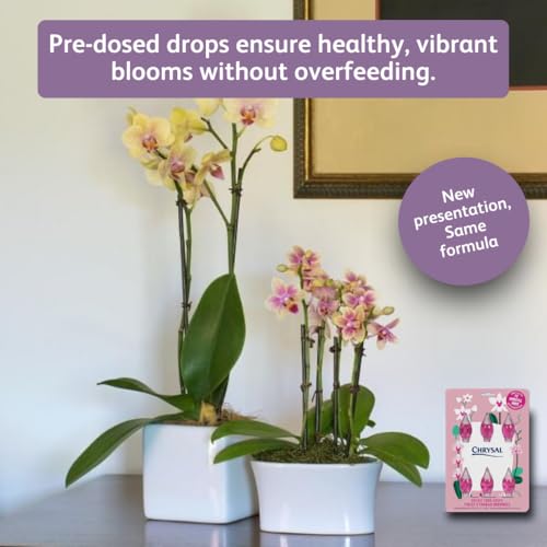 Chrysal Orchid Food Drops — Orchid Care — One Pack for a Year Supply — Concentrated Flower Food for All Species of Orchids — Ideal Florist Supplies — Outdoor and Indoor Plant Food - Image 3