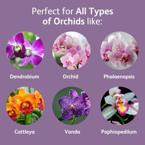 Chrysal Orchid Food Drops — Orchid Care — One Pack for a Year Supply — Concentrated Flower Food for All Species of Orchids — Ideal Florist Supplies — Outdoor and Indoor Plant Food - Image 4