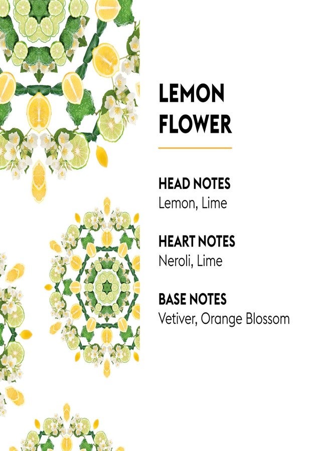 MAISON BERGER Lampe Berger Refill, 3 x 250 ml, Fresh Trio - Image 3