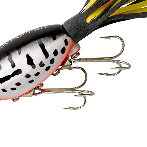 Arbogast Hula Popper Topwater Fishing Lure, Coach Dog Orange Belly, G760 (2 in, 3/8 oz) - Image 2