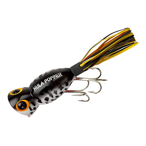 Arbogast Hula Popper Topwater Fishing Lure, Coach Dog Orange Belly, G760 (2 in, 3/8 oz) - Image 3